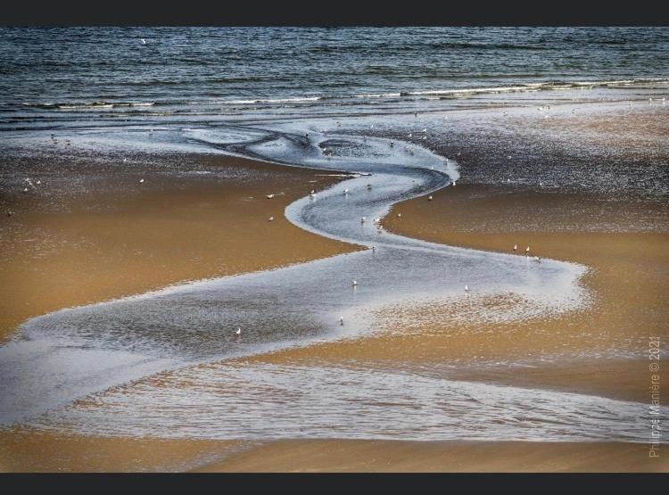 La Margaret Face Mer Équihen-Plage Esterno foto